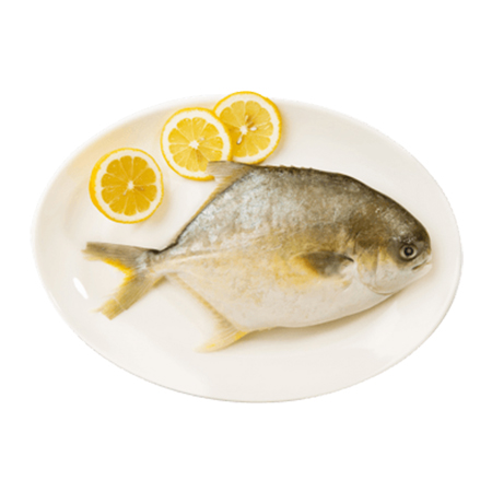 Golden Pompano