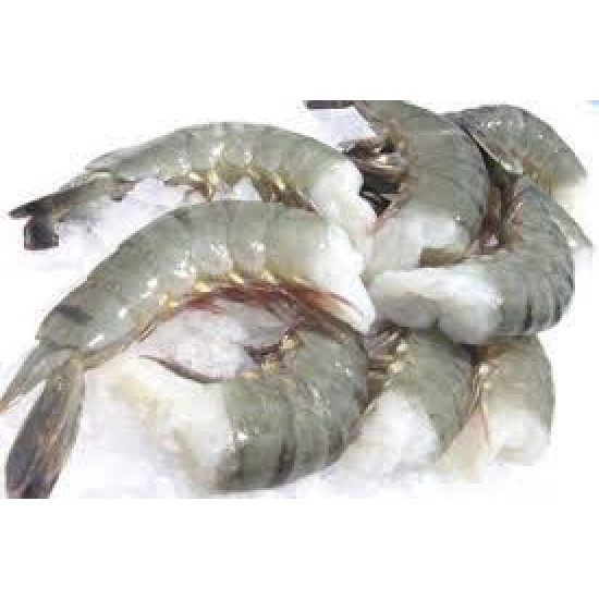 Indian Black Tiger Shrimp 21/25