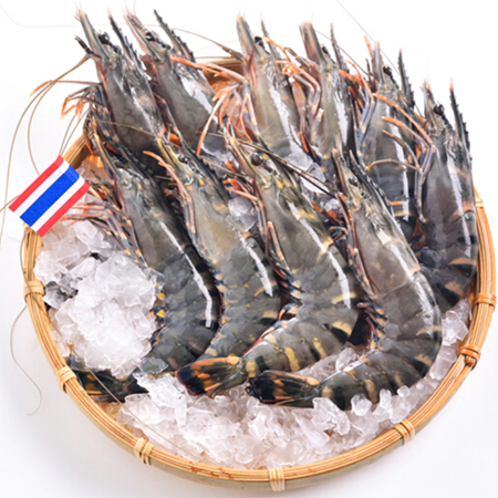 Thailand Black Tiger Shrimp16/20