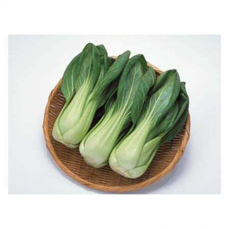 Shanghai Bok Choy