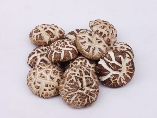 Dry Chinese Mushroom